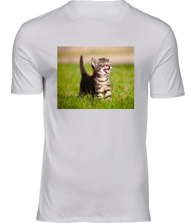 Herren Weiss Tshirt SONNIGE KATZE