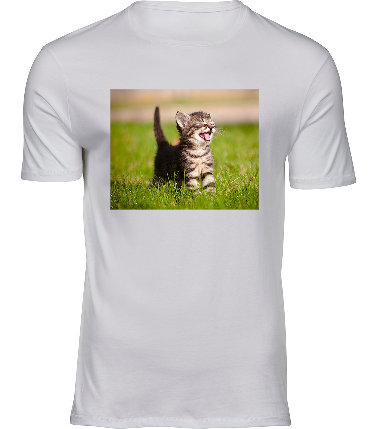 T-193-1 mw Herren Weiss Tshirt SONNIGE KATZE