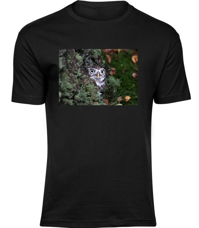 Herren Schwarz Tshirt WALDEULE