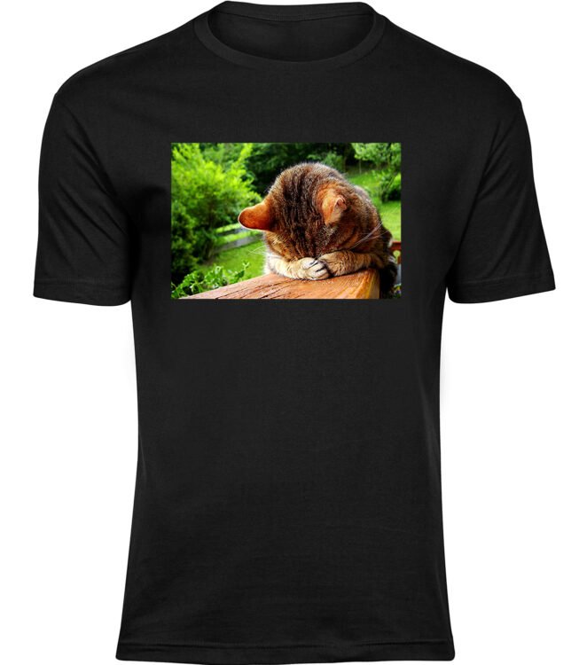 Herren Schwarz Tshirt ANGSTIGE KATZE
