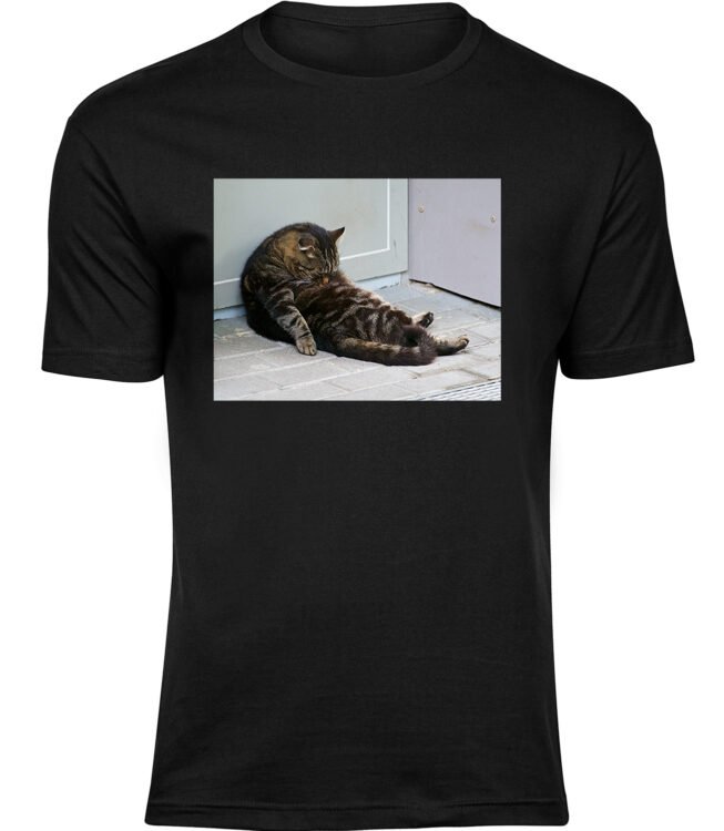 Herren Schwarz Tshirt SCHLAFENDE KATZE