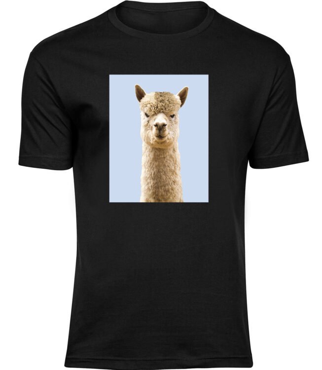 Herren Schwarz Tshirt ERNSTER LAMA