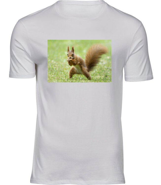 Herren Weiss Tshirt EICHHÖRNCHEN-BOXER