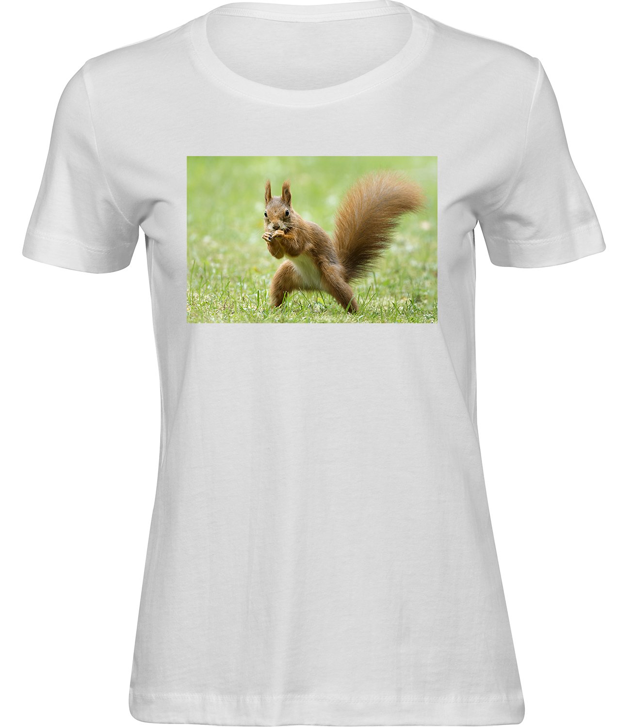 T-214-1 ww Frauen Weiss Tshirt EICHHÖRNCHEN-BOXER